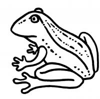 Распечатать бесплатные раскраски для детей: животные: рыбы, змеи, жабы 