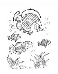Детские раскраски для девочек и мальчиков. рыба пила и рыбки 