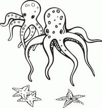 Рисунки на морскую тему. осьминоги и звезды 