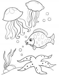 Раскраски подводный мир детская раскраска подводный мир,  рыбы,  медузы,  растения 