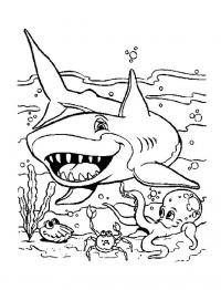 Раскраски подводный мир природа подводный мир акула рыбки 