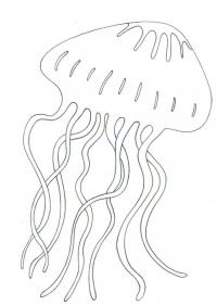 Раскраски подводный мир медуза 
