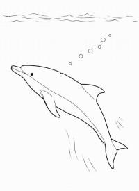Дельфин в море раскрашивать 