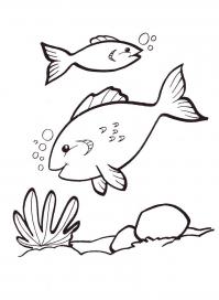 Раскраски детская детская раскраска подводный мир,  рыбы,  водоросли 