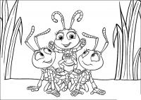 Команда муравьев 