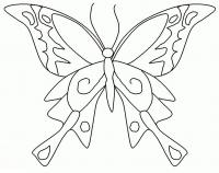 Раскраски насекомые бабочка 
