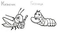 Забавные насекомые  кузнечик и гусеница 