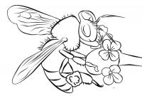 Раскраски насекомые детские раскраски, насекомые, пчела, пчела на цветке 