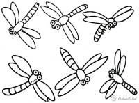 Раскраски насекомые раскраска стрекоза, насекомые 