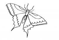 Раскраски насекомые детские раскраски, насекомые, бабочка 