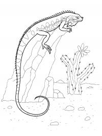Раскраски детская детская раскраска древние рептилии,  ихтиозавр 