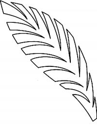 Раскраски листья лист пальмы контур 