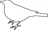 Раскраски контуры птиц птица контур для вырезки из бумаги, шаблон 