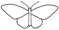 Раскраски бабочки бабочка контур для вырезки из бумаги 