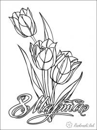 Раскраски открытка тюльпаны, 8 марта, раскраска, весна, букет 