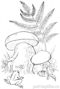 Раскраска. белые грибы 