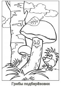 Раскраска гриб подберёзовик 