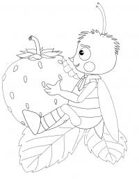 Пчеленок с земляникой - раскраска из мультфильма: лунтик и его друзья 