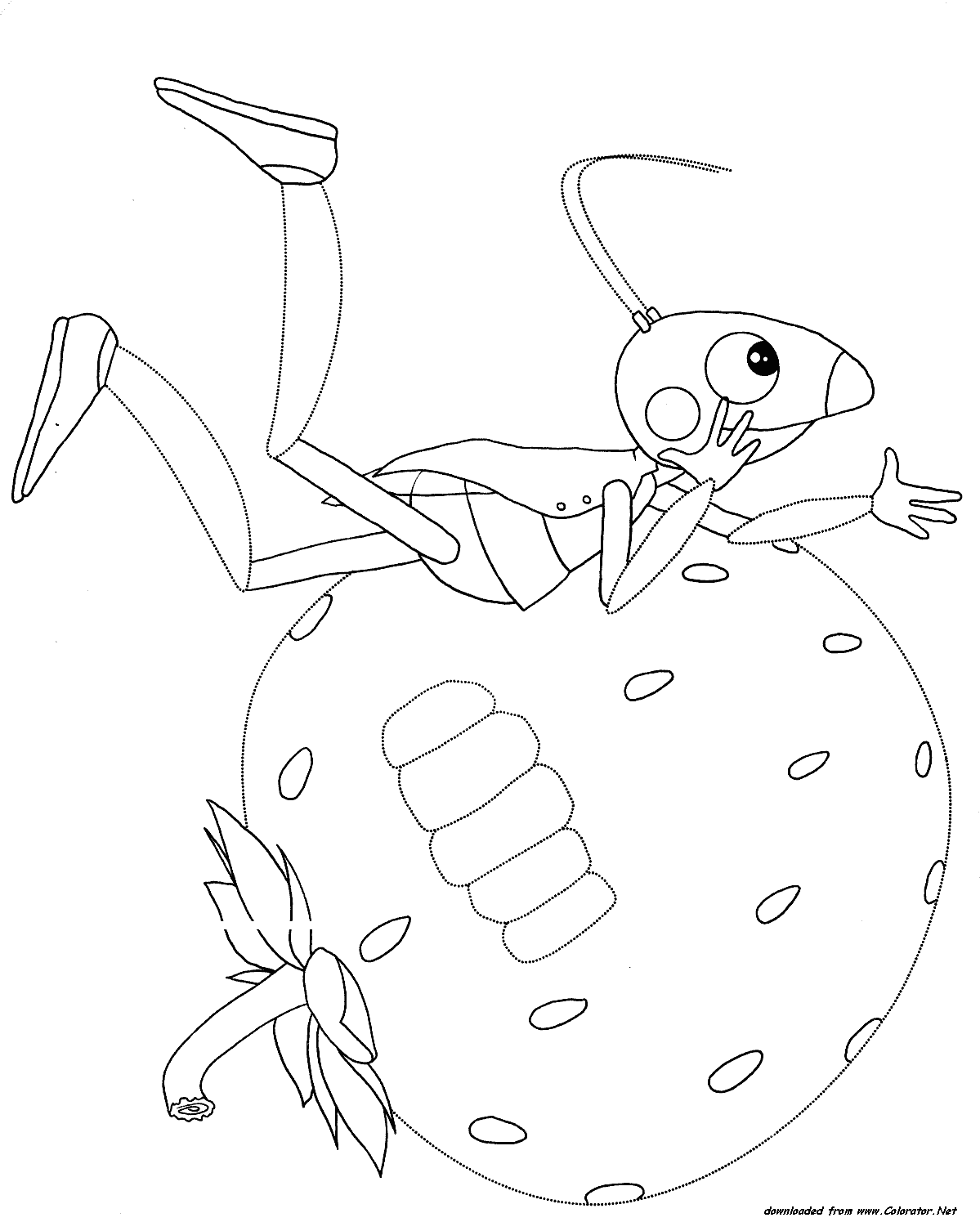 Кузнечик кузя - раскраска из мультфильма: лунтик и его друзья 