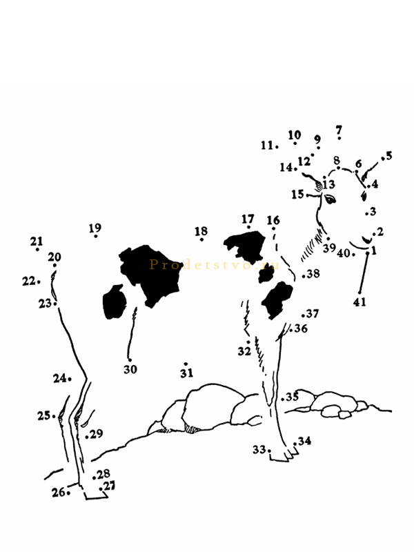 Рисунок по точкам, корова 
