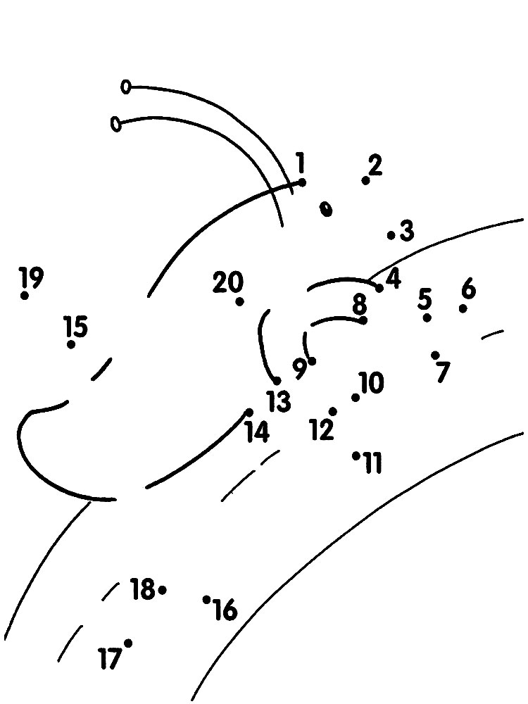 Рисунки по точкам и раскраски по номерам для малышей - Распечатайте, раскрасьте, играйте