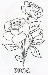 Цветы, раскраска для малышей, роза 