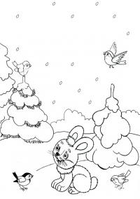 Зайка, птицы, заснеженные елки, снег, подает снег 