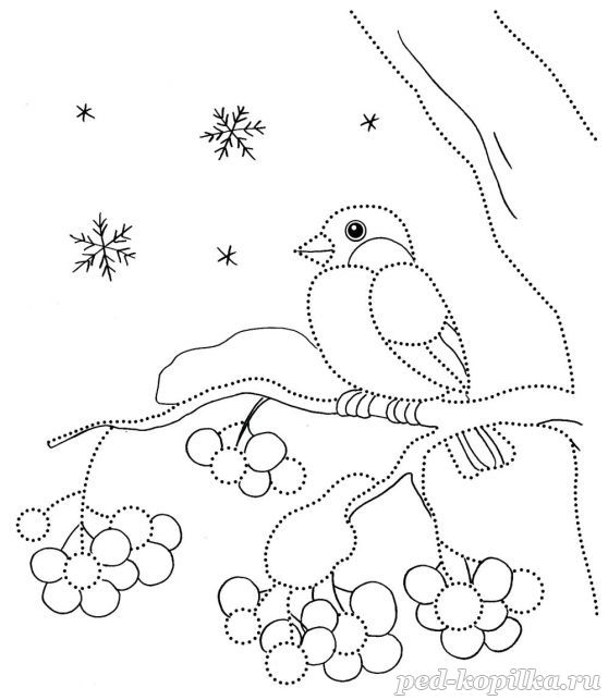 Раскраска. Снегирь на ветке, рябина, ягоды, снежинки по точкам